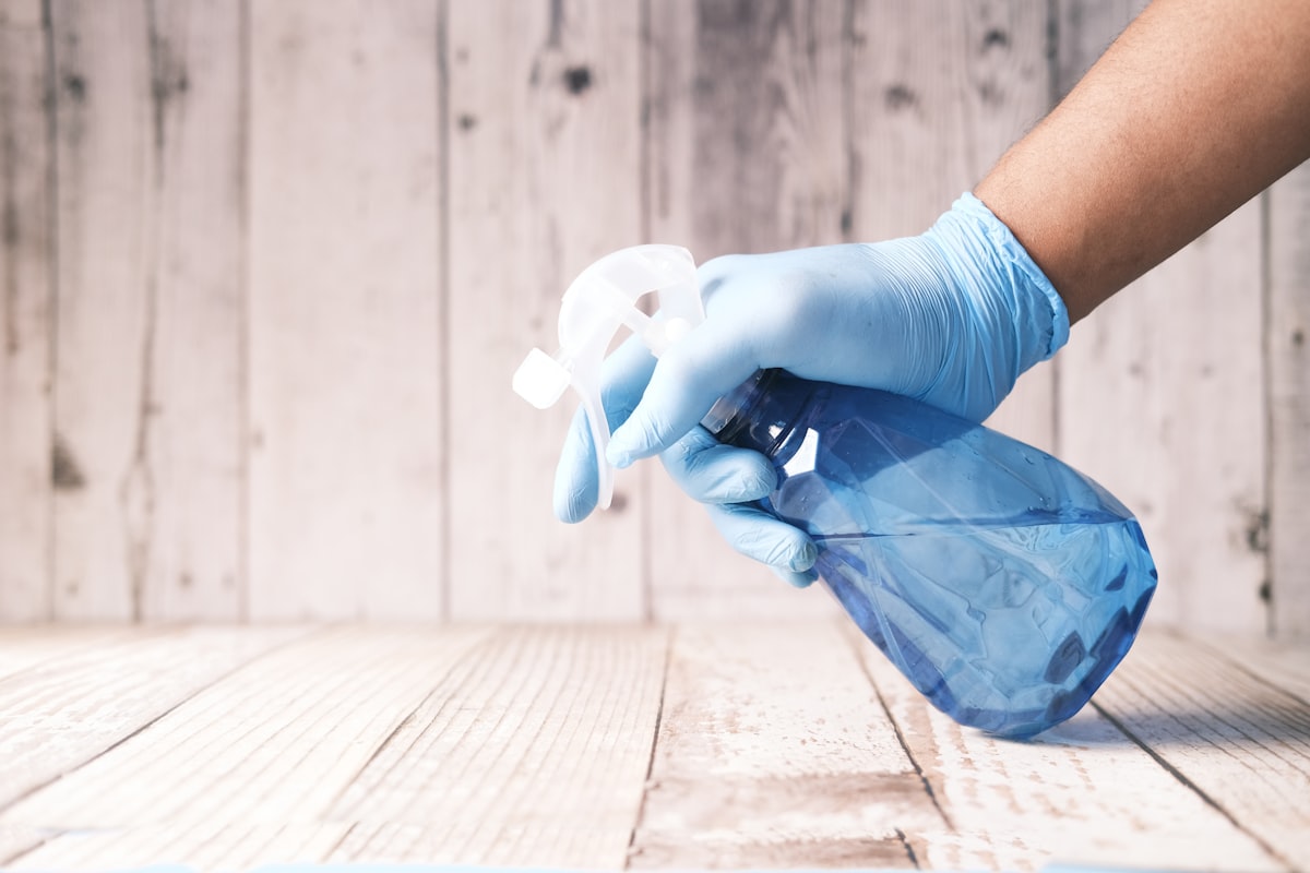 Professional carpet cleaning with industrial extraction equipment